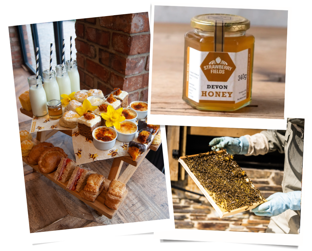 Book Tickets The Hive and the Honey Bee Strawberry Fields Farm Shop